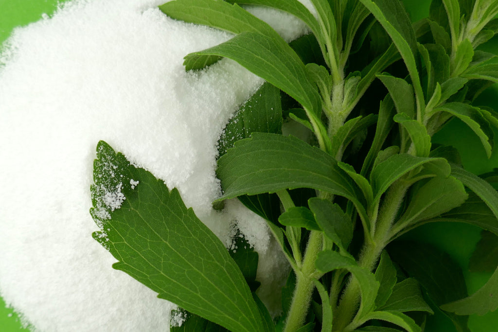 Artificial Sweeteners & Gut Health | Stevia and Microbiome Effects